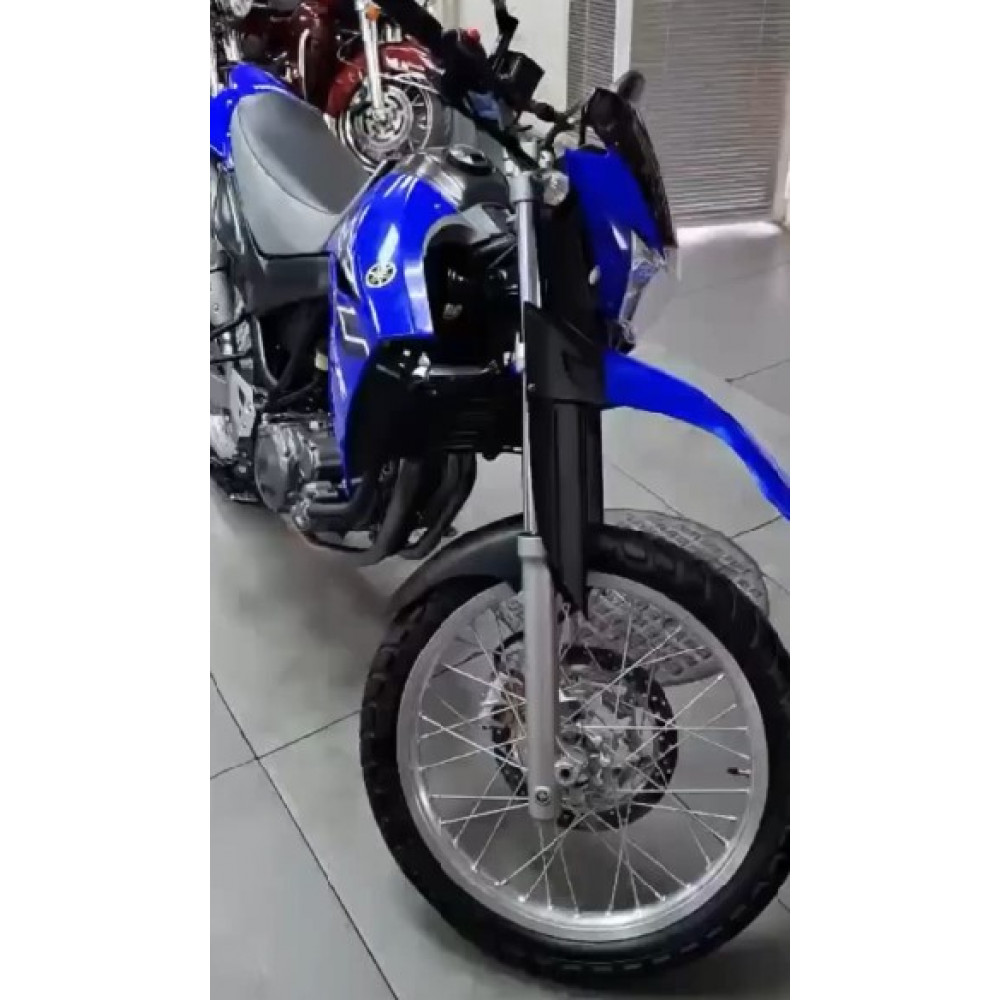 Yamaha XT660R (инжектор) 2005 г, 17300 км