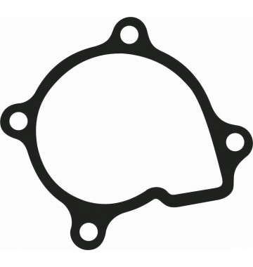 Прокладка корпуса помпы 0180-081006
