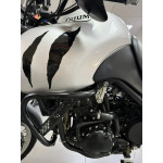 Triumph Tiger 955 (инжектор) - 2004