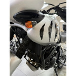 Triumph Tiger 955 (инжектор) - 2004