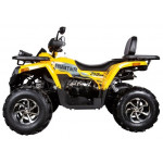 Avantis Hunter 250 Big New Premium, желтый