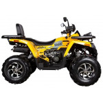 Avantis Hunter 250 Big New Premium, желтый