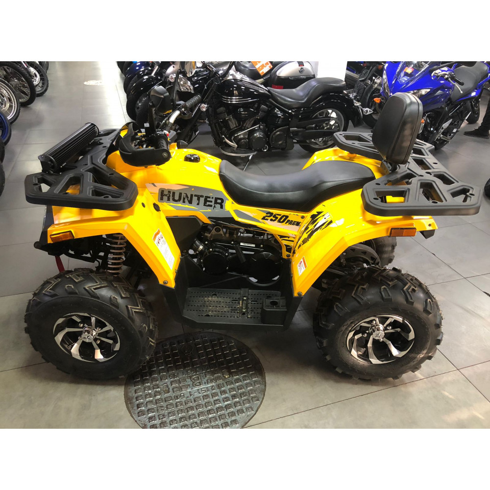 Avantis Hunter 250 Big New Premium, желтый