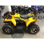 Avantis Hunter 250 Big New Premium, желтый