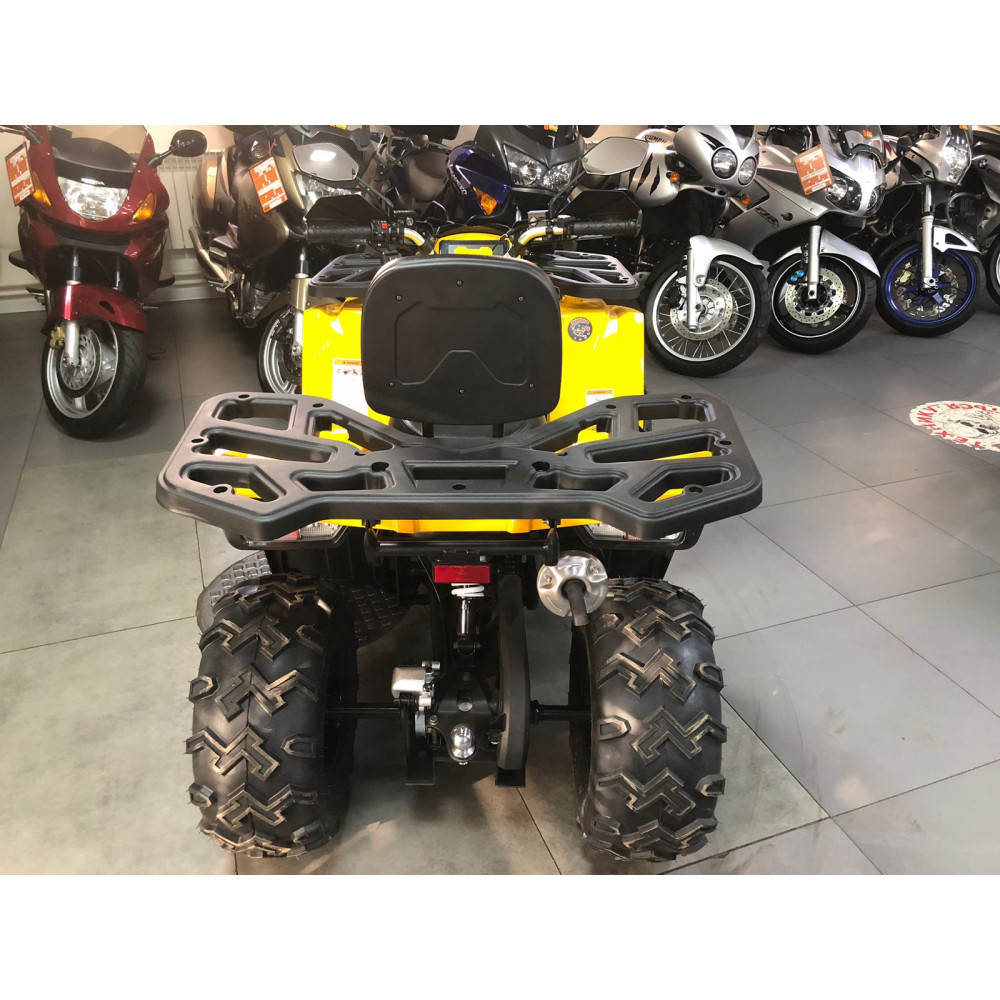 Avantis Hunter 250 Big New Premium, желтый