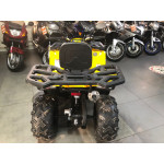 Avantis Hunter 250 Big New Premium, желтый