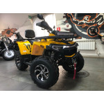 Avantis Hunter 250 Big New Premium, желтый