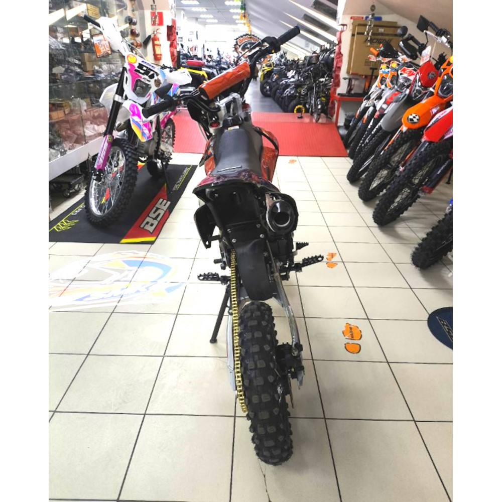 BSE EX 14/12