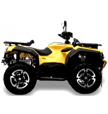 Снегоболотоход Hisun Guardian 750 Long VIN: LWGSDWZ7XTA000571 Желтый