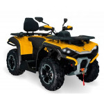 Снегоболотоход Hisun Guardian 750 Long VIN: LWGSDWZ76TA000812 желтый