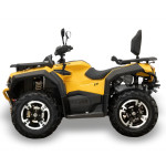 Снегоболотоход Hisun Guardian 750 Long VIN: LWGSDWZ76TA000812 желтый
