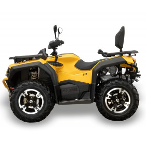 Снегоболотоход Hisun Guardian 750 Long VIN: LWGSDWZ76TA000812 желтый