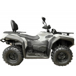 Снегоболотоход Hisun Guardian 400 Long VIN: LWGMDSZFXTA000174 Серый