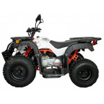 Квадроцикл KAYO AU150 CVT (белый 2024)
