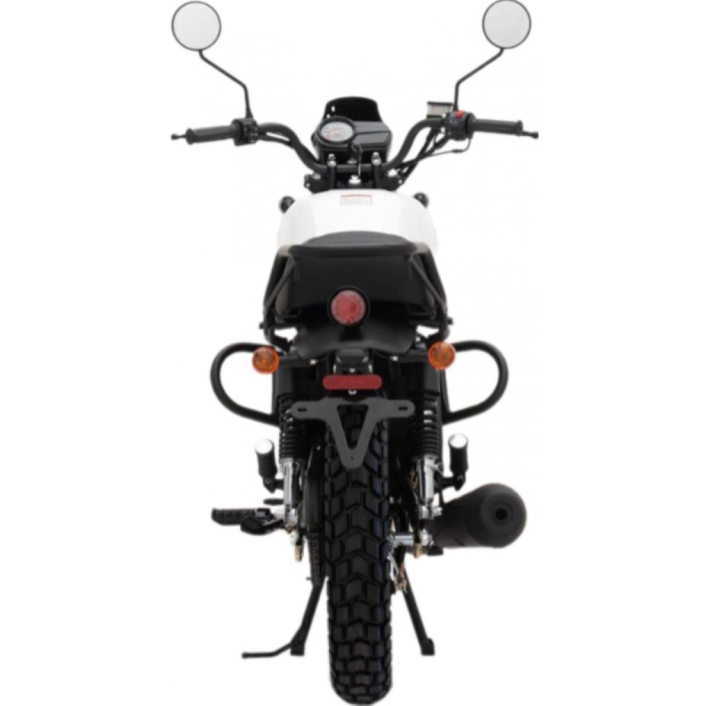 Мотоцикл Regulmoto Monster, Белый, , 121086-2